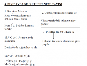 Buğdayda Su Rutubet Netm Tayini