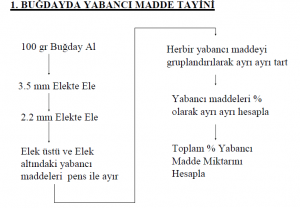 Buğdayda Yabancı Madde Tayini