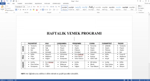 Hazır Yemek Sistemleri Haftalık Yemek Programı