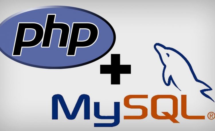 PHP İş Başvuru Formu Netortami.Net PHP İş Başvuru Formu