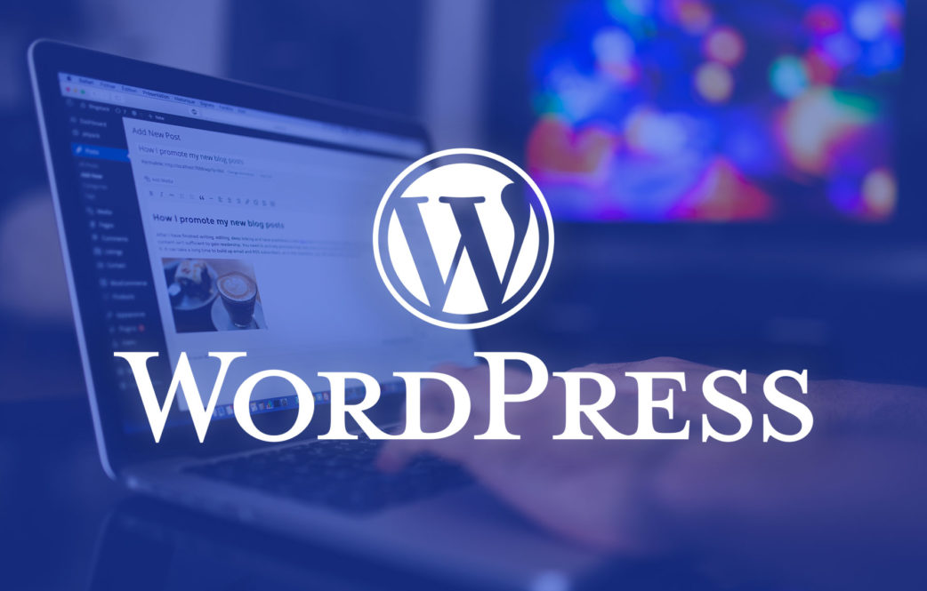 Wordpress Nedir, Nasıl Kurulur?